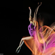 Illustration for article titled Chronophotography: The Photos That Revealed The Secrets Of Motion